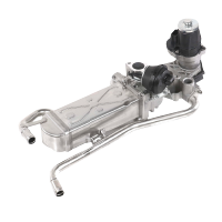 EGR COMPLETE (VALVOLA+RADIATORE)