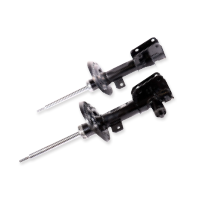 SOSPENSIONI TRADIZIONALI