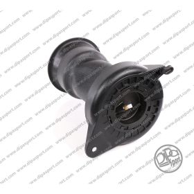 Molla Posteriore Fiat Ducato (250_ 290_)