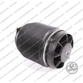 Molla Aria Posteriore Arnott Audi A6
