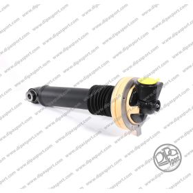 Sospensione Anteriore Dx Citroen C5 (RD)