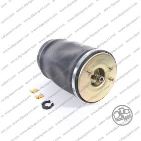 Molla Aria Posteriore Sx Bmw X5 (E53)