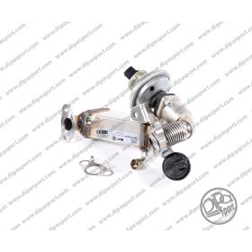 Egr Nuova Bmw Serie 1 3 5 120 320 520 d