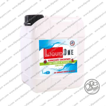 Detergente Igienizzante 5Lt Liquidone01N