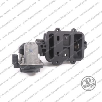 Revisione Valvola Egr Vw Man 2.0 Diesel