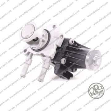 Valvola Egr revisionata Opel Citroen Peugeot 1.5 d DS