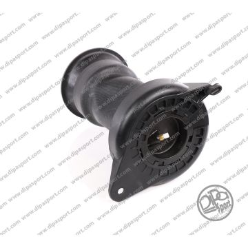 Molla Posteriore Fiat Ducato (250_ 290_)