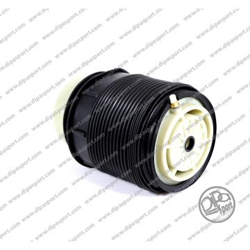 Soffietto Post. Sx Mercedes Classe E CLS