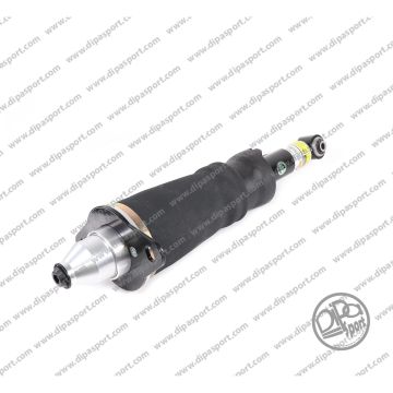 Sospensione Posteriore Audi A6 Allroad