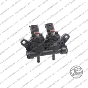 Rail 2 Iniettori Girs12 Tipo XXS Marrone