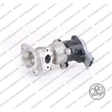 Revisione Egr Sx Psa Jaguar L Rover 2.7
