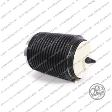 Molla Aria Posteriore Arnott Audi A6 A7