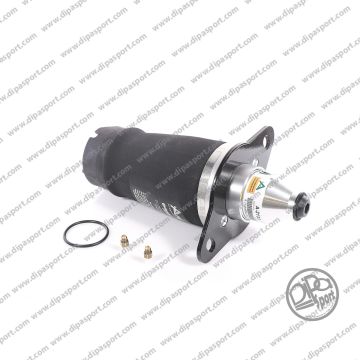 Molla Aria Posteriore Audi Allroad A6