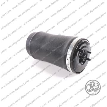 Molla Posteriore Sinistra Bmw X5 (E53) 