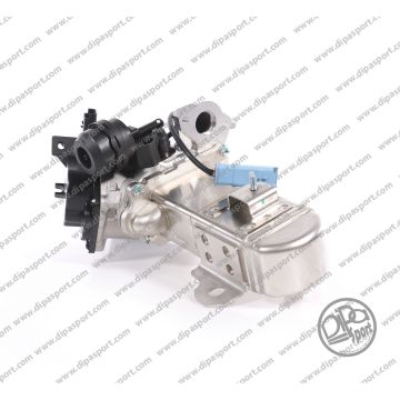 Egr Completa Dipa Psa Ford 2.0 Diesel
