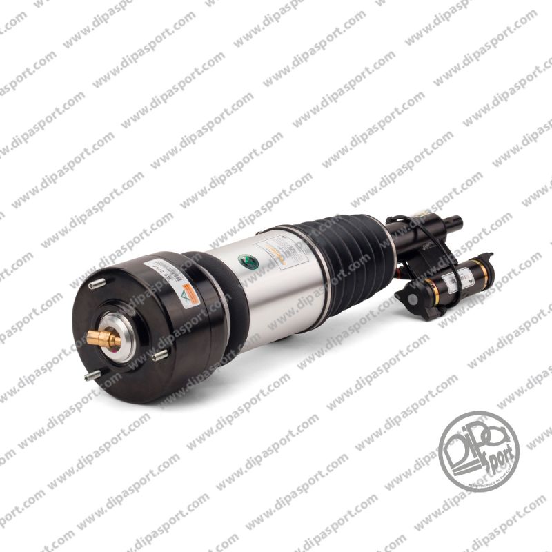 Sospensione Ant Sx Mercedes Cl. S (W220)