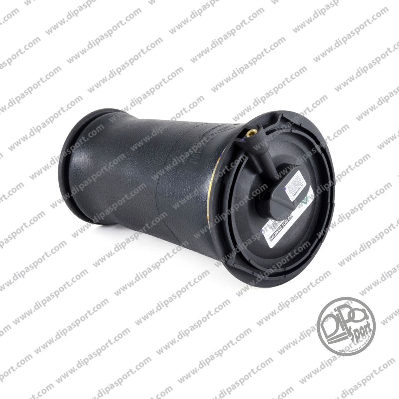 Molla Posteriore Range Rover II (P38A)