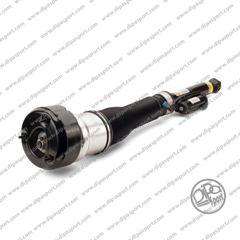 Ammortizzatore Post Dx Mercedes Classe S