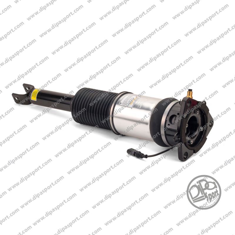 Sospensione Posteriore Sinistra Audi A8