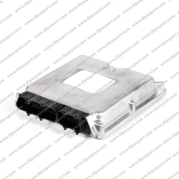 Revisione Ecu Fiat Multipla 1.6 Metano
