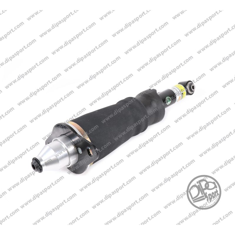 Sospensione Posteriore Audi A6 Allroad