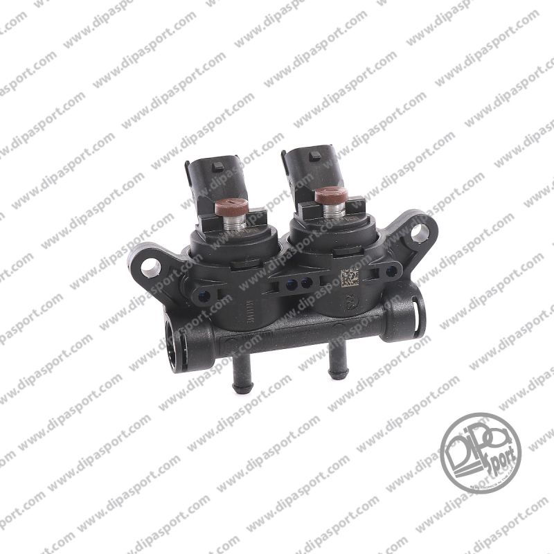 Rail 2 Iniettori Girs12 Tipo XXS Marrone