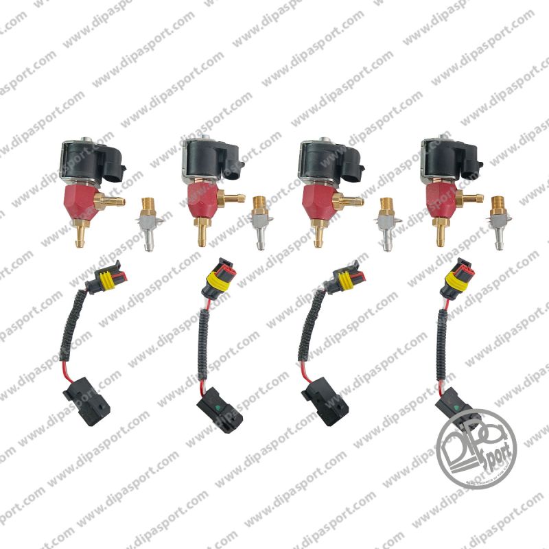 Rail Con Iniettori Gpl Dipa Citroën 1.6