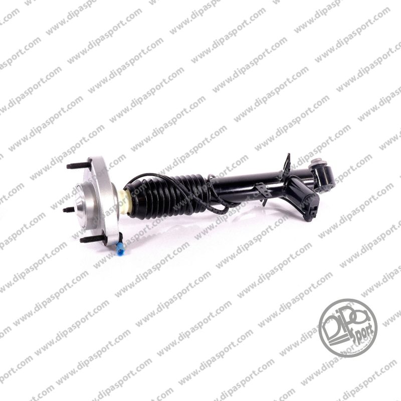 Suspensión Izquierda X5 III X6 II Paquete M