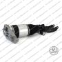 Ammortizzatore Ant Dx Q7 Touareg Cayenne
