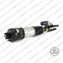 Ammortizzatore Dx Mercedes Classe E 211