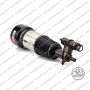 Sospensione Dx Mercedes Classe S (W220)