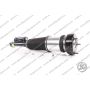 Ammortizzatore Anteriore Mercedes S W221