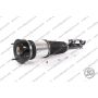 Ammortizzatore Anteriore Mercedes S W221
